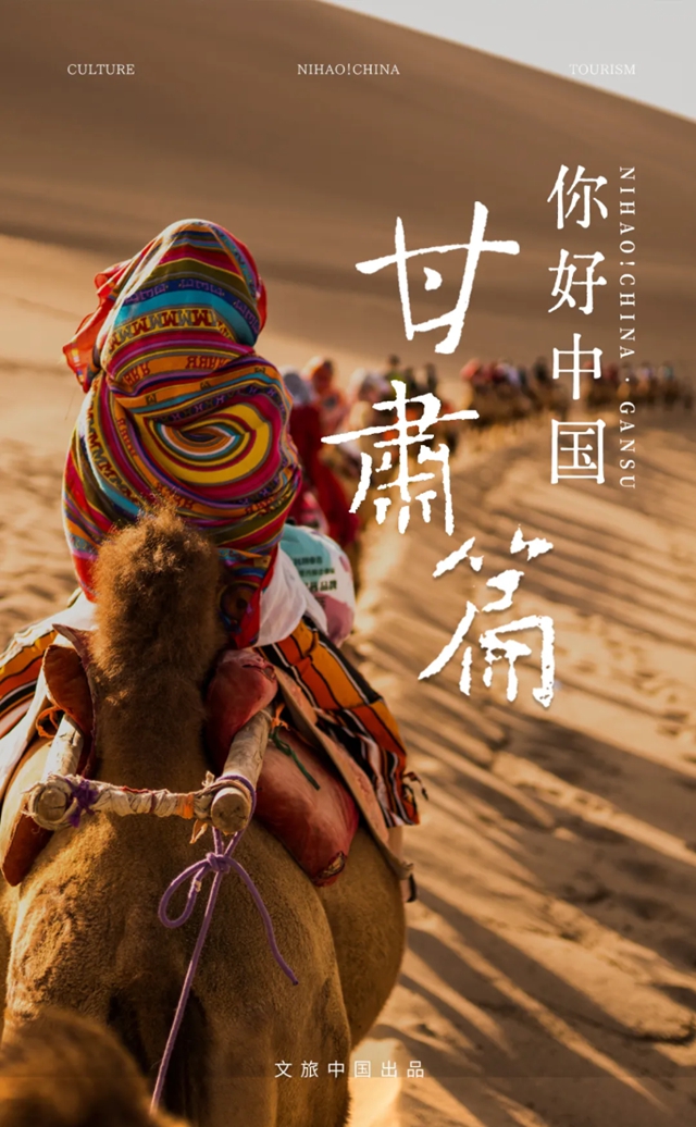 1764731424446873.jpg 2.jpg